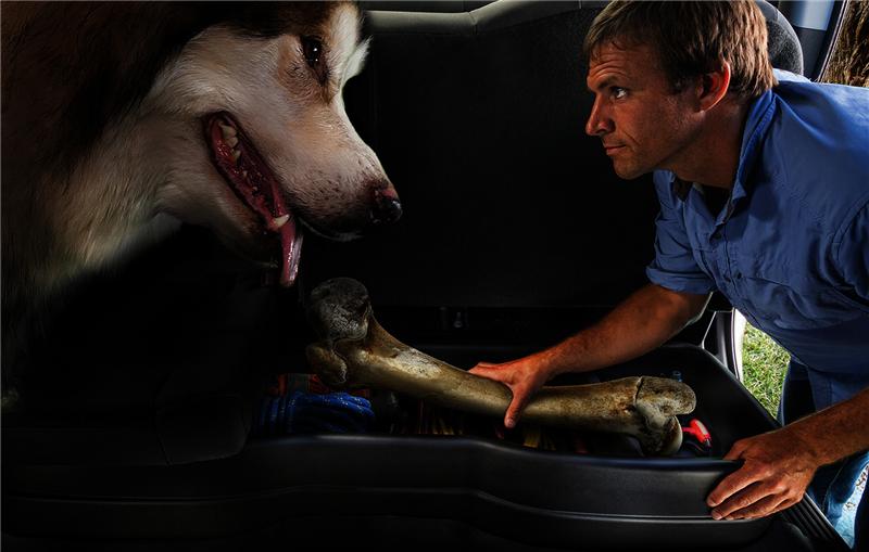 Husky Liners 09-12 Ford F-150 Super Cab Husky GearBox (w/o Factory Subwoofer) - Image 5