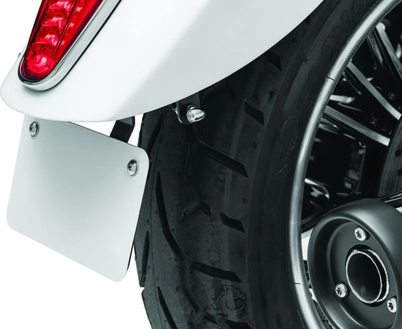 Kuryakyn Rear Ts & Lp Mount Scout - Image 2
