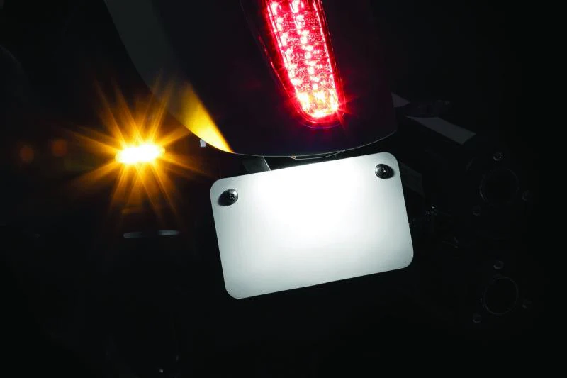 Kuryakyn Rear Ts & Lp Mount Scout - Image 4