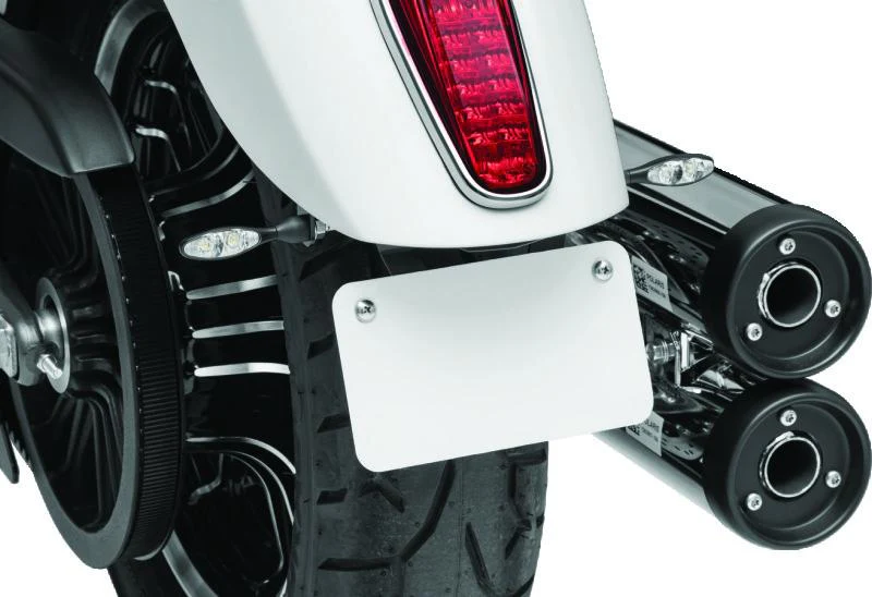 Kuryakyn Rear Ts & Lp Mount Scout - Image 5