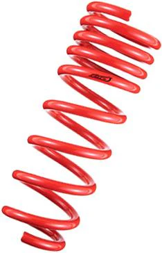 Tanabe DF210 Springs 08-09 xD - Image 3