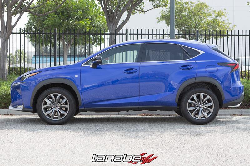 Tanabe NF210 Springs 15-16 Lexus NX200T F-Sport FWD - Image 2