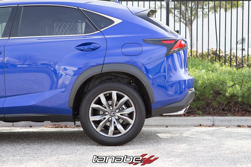 Tanabe NF210 Springs 15-16 Lexus NX200T F-Sport FWD - Image 8