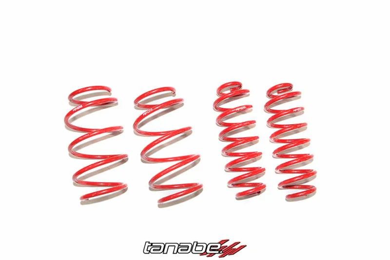 Tanabe NF210 Springs 2016 Toyota Prius - Image 5