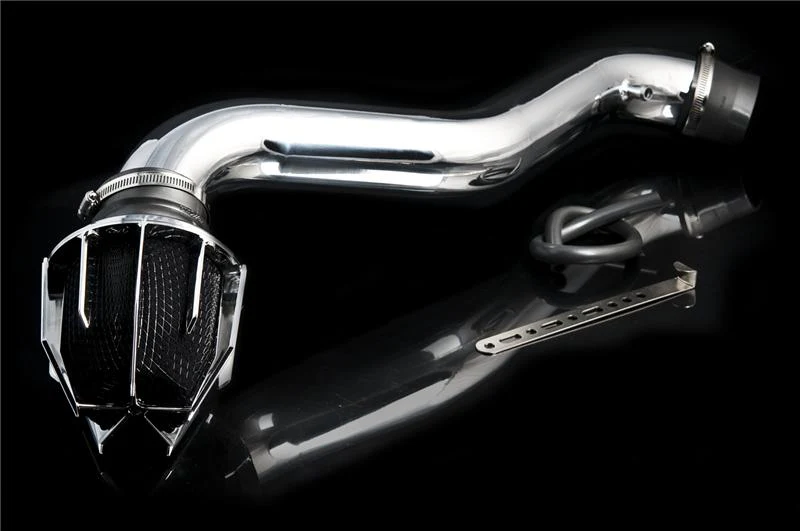 Weapon R 99-04 Toyota 4RUNNER 3.0L V6 Dragon Intake